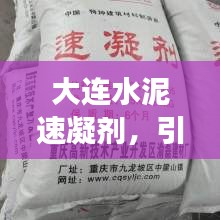 大连水泥速凝剂，引领行业发展，高效先锋力量