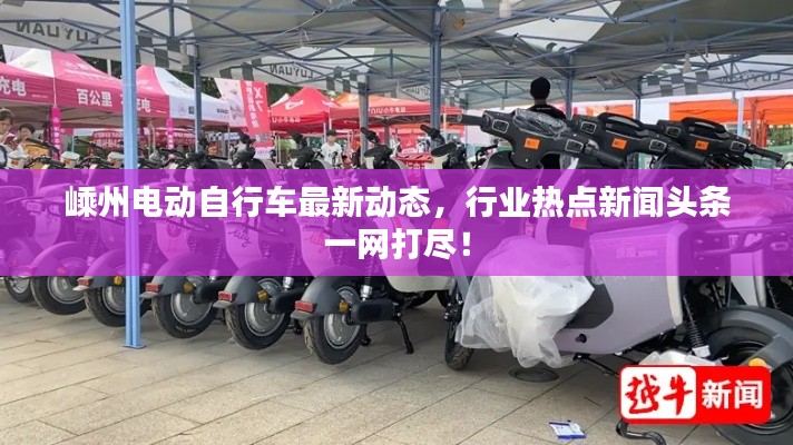 嵊州电动自行车最新动态，行业热点新闻头条一网打尽！