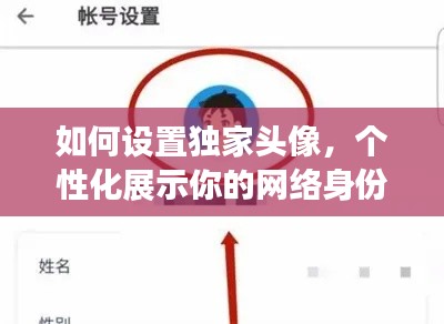 如何设置独家头像，个性化展示你的网络身份标识！