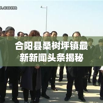 合阳县桑树坪镇最新新闻头条揭秘