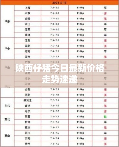 陕西仔猪今日最新价格走势速递