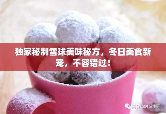 独家秘制雪球美味秘方，冬日美食新宠，不容错过！