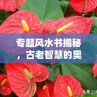 专题风水书揭秘，古老智慧的奥秘探索