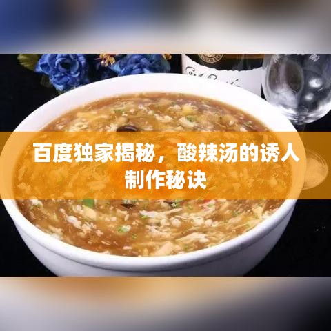 百度独家揭秘，酸辣汤的诱人制作秘诀