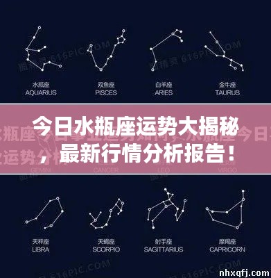 今日水瓶座运势大揭秘，最新行情分析报告！