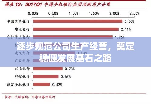 逐步规范公司生产经营，奠定稳健发展基石之路