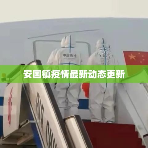 安国镇疫情最新动态更新