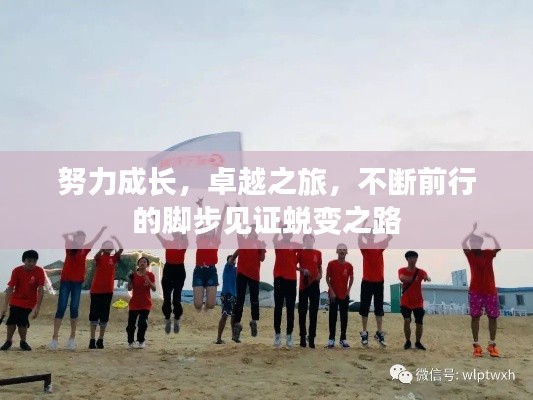 工单管理 第6页