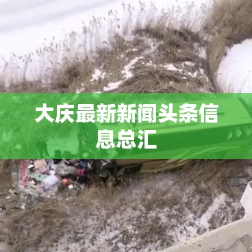 大庆最新新闻头条信息总汇