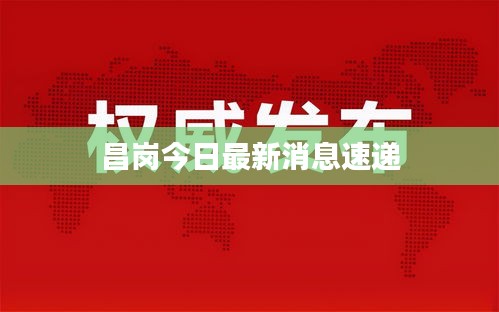 昌岗今日最新消息速递
