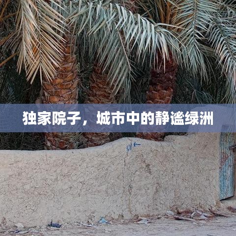 独家院子，城市中的静谧绿洲