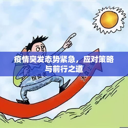 疫情突发态势紧急，应对策略与前行之道