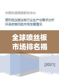 全球喷丝板市场排名揭秘与行业深度解析