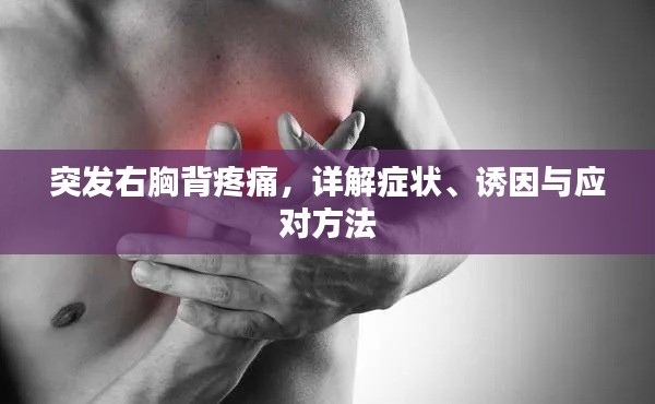 杳无音信