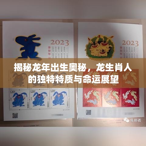 揭秘龙年出生奥秘，龙生肖人的独特特质与命运展望