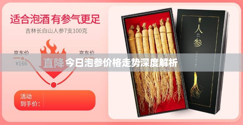 今日泡参价格走势深度解析