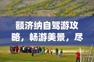 额济纳自驾游攻略，畅游美景，尽享自由之旅！
