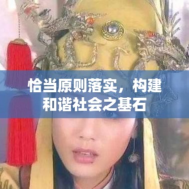 恰当原则落实，构建和谐社会之基石