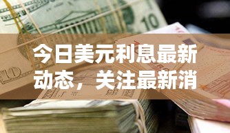 今日美元利息最新动态，关注最新消息，洞悉金融走势