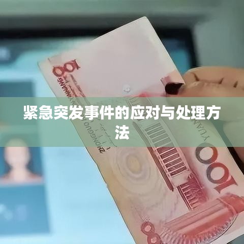 2025年4月 第2页