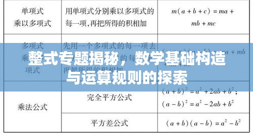 整式专题揭秘，数学基础构造与运算规则的探索