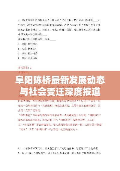阜阳陈桥最新发展动态与社会变迁深度报道