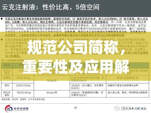 规范公司简称，重要性及应用解析
