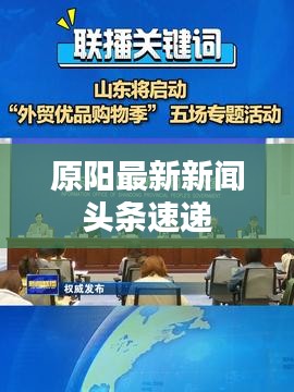 原阳最新新闻头条速递