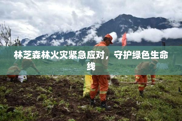林芝森林火灾紧急应对，守护绿色生命线