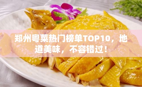 郑州粤菜热门榜单TOP10，地道美味，不容错过！