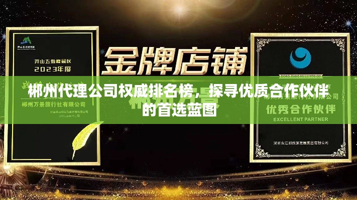 郴州代理公司权威排名榜，探寻优质合作伙伴的首选蓝图