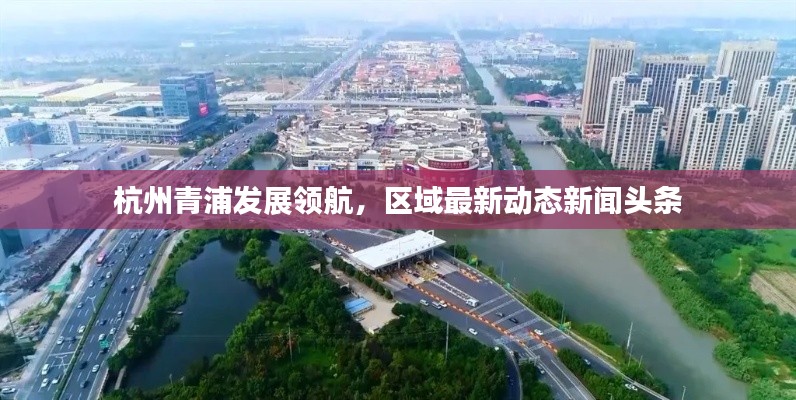 杭州青浦发展领航，区域最新动态新闻头条