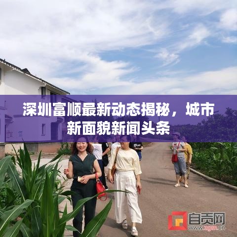 深圳富顺最新动态揭秘，城市新面貌新闻头条