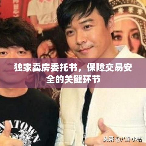 独家卖房委托书，保障交易安全的关键环节