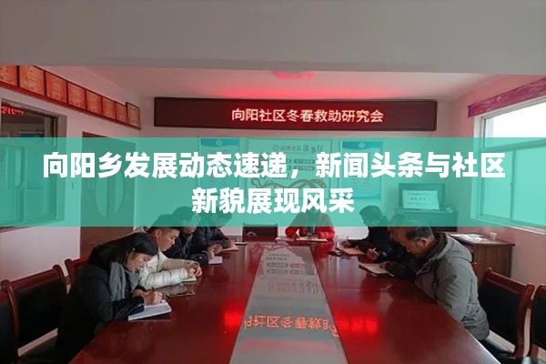 向阳乡发展动态速递，新闻头条与社区新貌展现风采