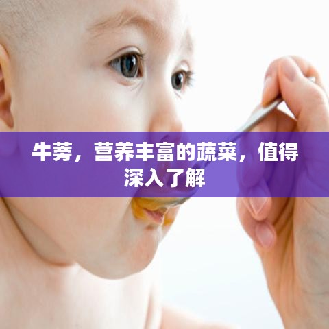 牛蒡，营养丰富的蔬菜，值得深入了解
