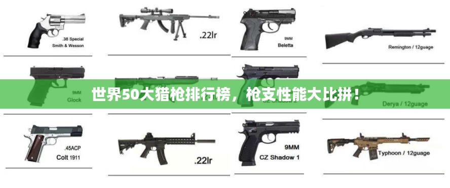 世界50大猎枪排行榜，枪支性能大比拼！