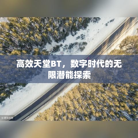 高效天堂BT，数字时代的无限潜能探索
