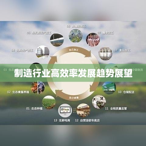 制造行业高效率发展趋势展望