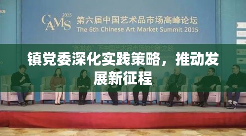 镇党委深化实践策略，推动发展新征程