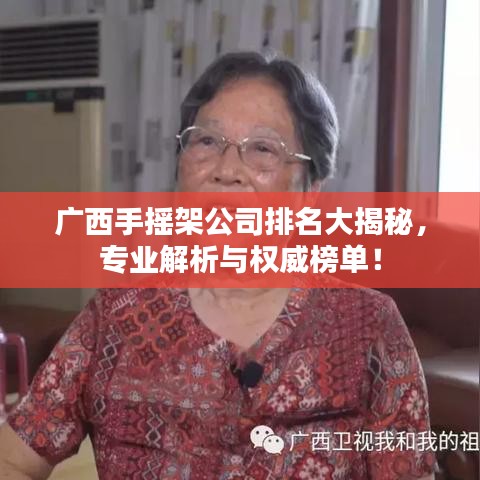 广西手摇架公司排名大揭秘，专业解析与权威榜单！
