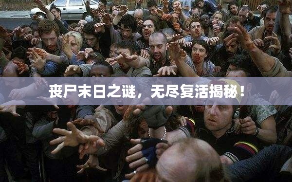 丧尸末日之谜，无尽复活揭秘！
