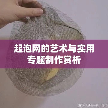 起泡网的艺术与实用专题制作赏析