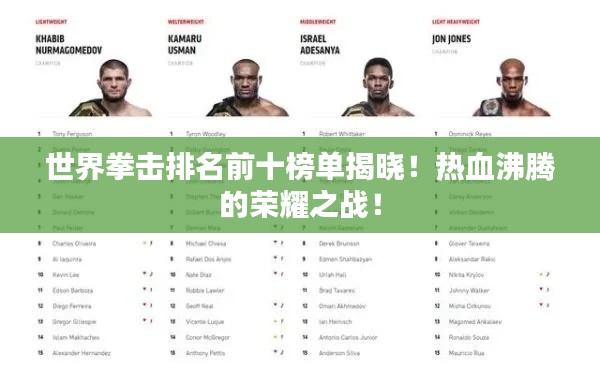 世界拳击排名前十榜单揭晓！热血沸腾的荣耀之战！