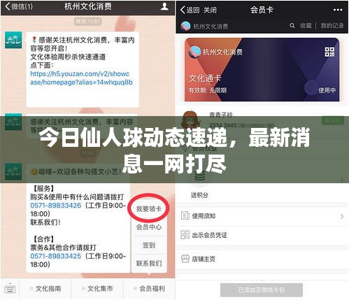 2025年5月29日 第3页