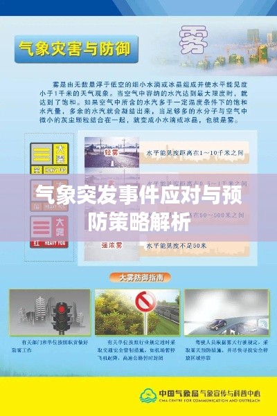 气象突发事件应对与预防策略解析