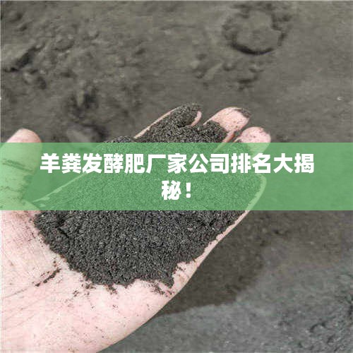 羊粪发酵肥厂家公司排名大揭秘！
