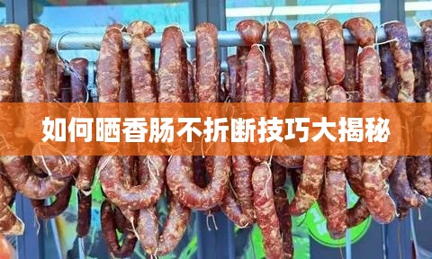 2025年6月 第118页