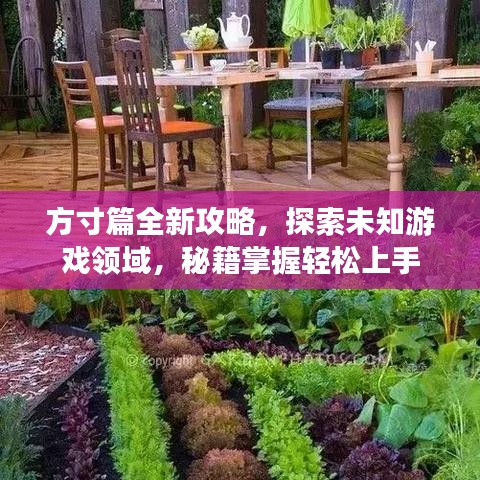 方寸篇全新攻略，探索未知游戏领域，秘籍掌握轻松上手