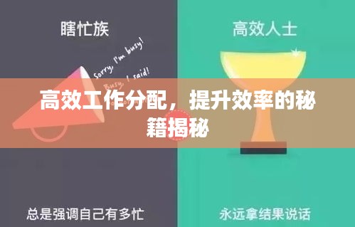 高效工作分配，提升效率的秘籍揭秘